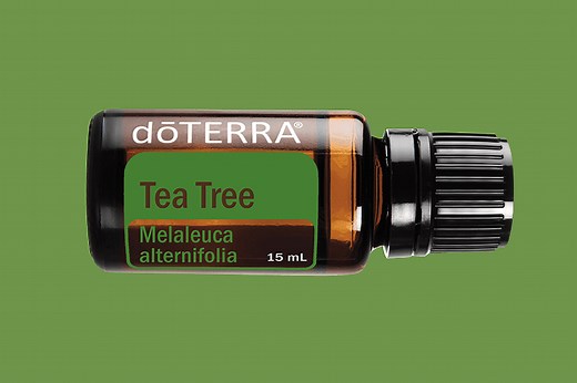 Tea Tree Essential Oil  | doTERRA Essential Oils