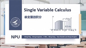 Single Variable Calculus