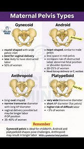 🌟👉📚 MATERNAL PELVIS TYPES — 1️⃣ Gynecoid Pelvis (MOST COMMON & BEST FOR DELIVERY) Round-shaped, wide pelvic inlet Best pelvic type for vaginal delivery Least risk of obstructed labor Seen in ~50% of women 🔑 Exam Key: Most favorable pelvis → Gynecoid --- 2️⃣ Android Pelvis (MALE-TYPE & DIFFICULT LABOR) Heart-shaped inlet, narrow mid-pelvis High risk of obstructed labor Associated with: OP position Shoulder dystocia Need for operative delivery (forceps / C-section) Seen in 20–25% of women 🔑 E