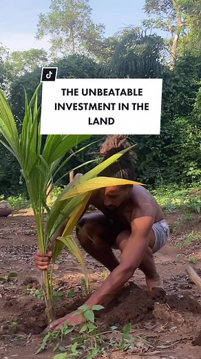 Investing in Your Own Land: A Guide to DIY Farmstead and Natural Farming