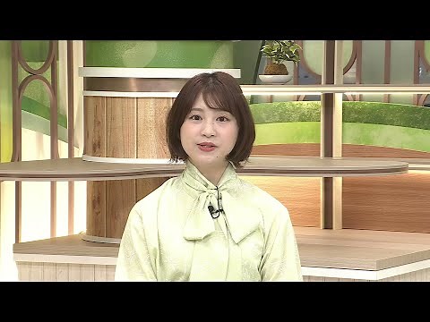 新潟一番・県内ニュースに日高優希キャスターが加わりました