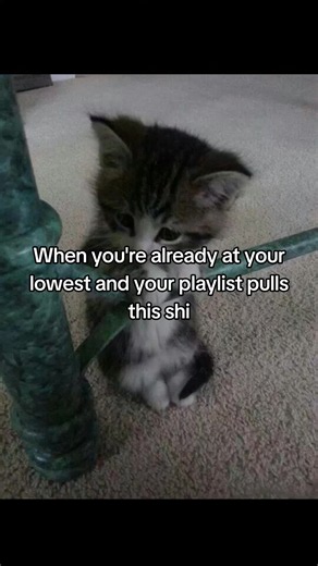 #vent | playlist