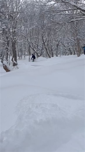 Do spring skiing the Jay way. 17” of powder in the last 3 days and snow in the forecast all dang week into the weekend. As always, Jay gives a discount to all other mountain pass holders on our window rates, even if your local hill is closed for the season. Canadians with proof of CA residency can pay at par with Canadian cash on all lift tickets and season passes. If you don’t have another pass or a Vermont or Canadian ID, the best way to save is through advance purchase lift tickets. Save mone