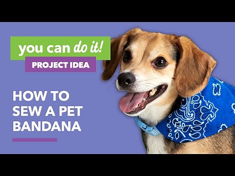 How to Sew a Pet Bandana