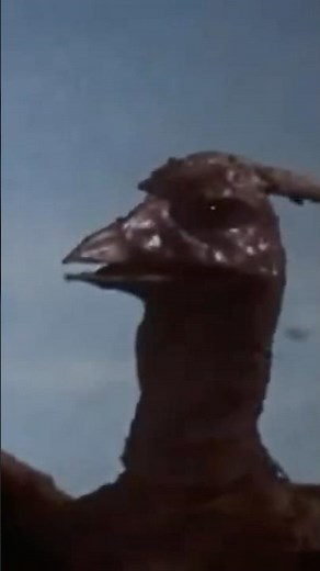 Rodan (1956) roars | 🇯🇵🤝🇺🇸 Part 2 #kaiju #rodan #tokusatsu