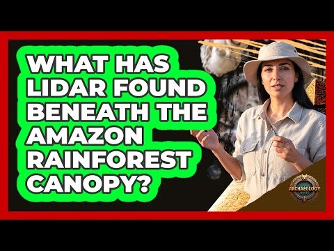 What Has LIDAR Found Beneath The Amazon Rainforest Canopy? - Archaeology Quest