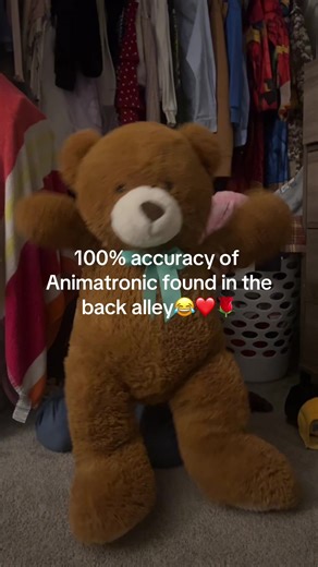 Discover the Animatronic Found in the Back Alley