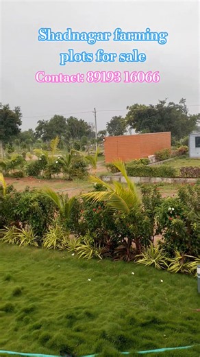 #Shadnagar farming plots for sale #agriculture lands in shadnagar Hyderabad