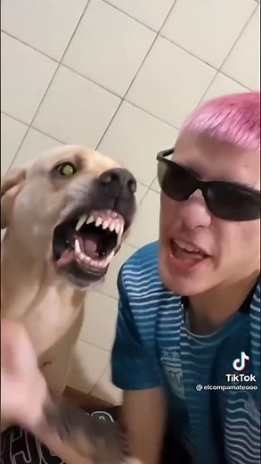 Rapper vs. Angry Dog Epic Battle | TikTok Viral Video