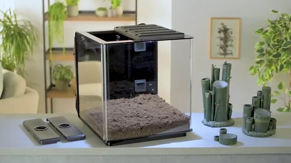 14 reactions · 5 comments | How easy is it to set up and plant the biOrb EARTH? This easy... Ready to get started? Click this link: https://social.oase.com/3f4K13V #biOrb #biOrbEARTH #vivarium | biOrb | Facebook