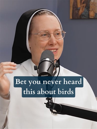 The Theological Significance of Birds in Faith