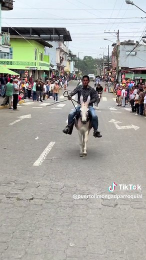 Final de la Carrera de Burros 2024 en Puerto Limón: ¡Vive la emoción!