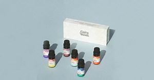 GuruNanda Frequently Asked Questions