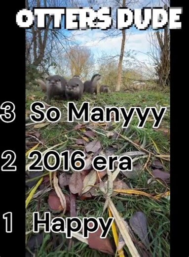Otters dude
