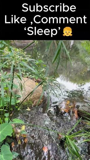 Who wants FREE knockout sleep? #deepsleep #whitenoise