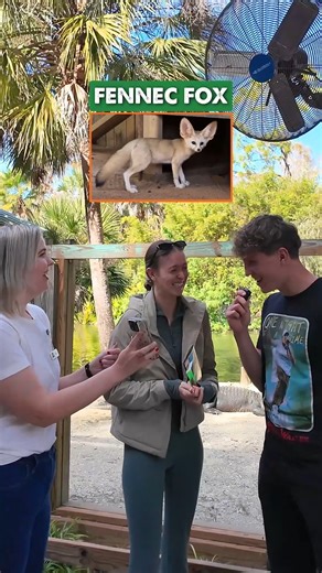 We asked our guests to guess what sound our animals make and... let’s just say there is a wide range of noises! 🤣 Would you have gotten them right? Watch with sound and tell us how you did! | Wild Florida