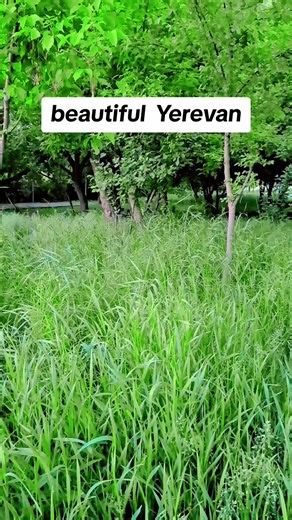 beautiful Armenia 🇦🇲 #yerevan #travel #trip #tour