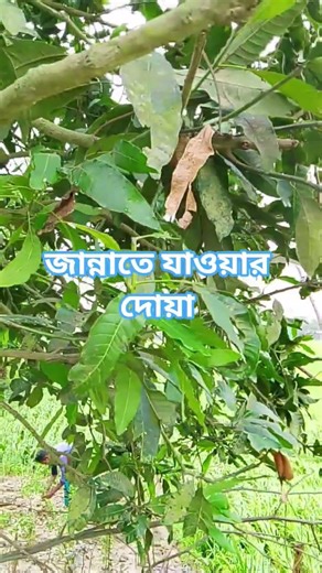জান্নাতে যাওয়ার দোয়া #banglayoutube #dua #shorts #jannat