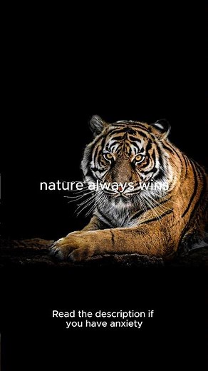 Best fidget toys on amazon