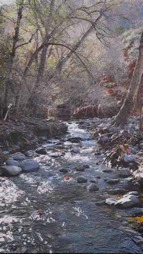 Meet Joe. For the past three years, he’s volunteered with Wild Arizona, traveling across the state to help restore the landscapes we all love. When life feels overwhelming, volunteering is a powerful way to reconnect with nature and with your community. 👉 Learn more at wildarizona.org/volunteer | Wild Arizona