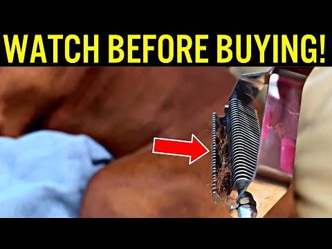 Best Comb for Dogs? Mars Coat King Grooming Rake Tool for Dogs and Cats (Full Demo & Review)