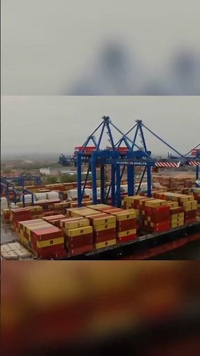 Bangladesh and Saudi Arabia Explore New Onion Suppliers Amid India Export Curbs