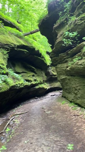 Exploring the Sandstone Canyon of Turkey Run State Park