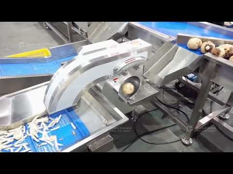 How Taro Is Processed in the Factory | Cutting, Cleaning, Blanching & Drying