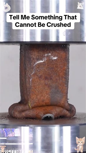 Memorializing Pumpkins: A Heartfelt Halloween Tradition