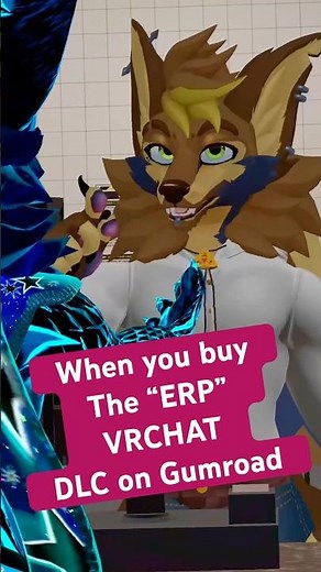 WHAT’S ERP MEAN ON VRCHAT? #furry #vrchat #vr #furries