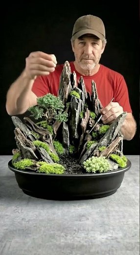 Creating a Stunning Micro World with Rocks and Plants 🌱 #minigarden #homedecor