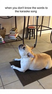 26K views · 848 reactions | Sometimes you just gotta yell random noises!  | Try Not to Laugh | Facebook