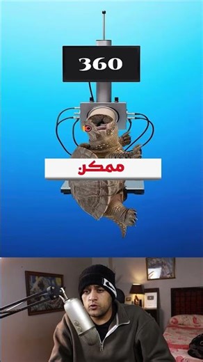 The danger of the snapping turtle