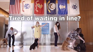 122K views · 87 reactions | Lines got you feeling dog tired? Download the PenFed app and ace your finances from the comfort of your couch. If our smart pup Ace, from America's VetDogs can do it, you can, too! Find it on the App Store andGoogle Play | PenFed | Facebook