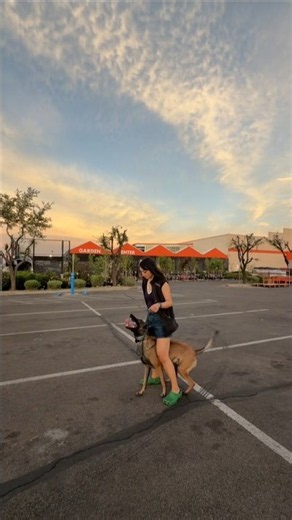 Rush training at Home Depot!: #dogs #dog #doggielife #puppy #tech@maligatorkoda