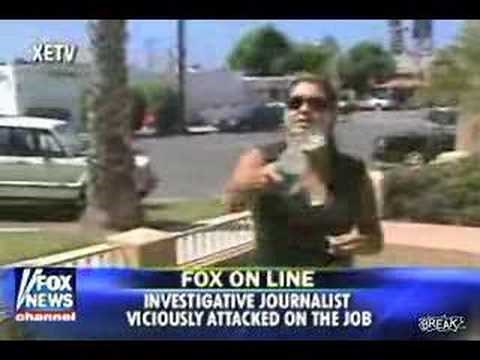 Compilation Of Reporters Getting Owned