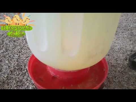 24 de diciembre de 2025