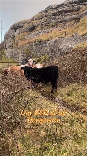 Exploring Galway and Doolin Trad Music in Ireland