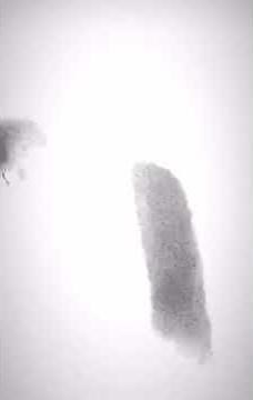 Tayk - Everywhere I Go [BASS BOOSTED] + EXTENDED