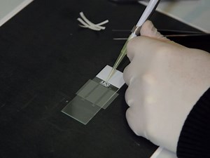 Combining Single-molecule Manipulation and Imaging for the Study of Protein-DNA Interactions