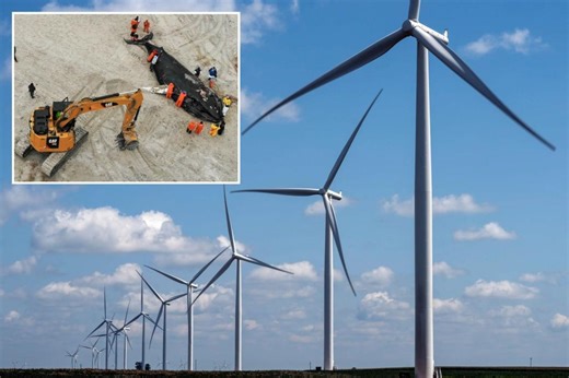 How the global wind-power industry is losing steam