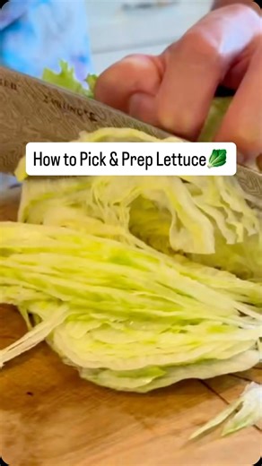 Let’s talk about the unsung hero of every great sandwich — iceberg lettuce. I pick the tight, heavy heads with bright green leaves — that’s how you know it’s crisp and cold.At home, I triple wash, knock out the core, then shave it thin like lettuce confetti. Cool, crunchy perfection in every bite. #LettuceHack #SandwichKing #JeffMauro #MauroProvisions #SandwichKing #IcebergLettuce #FoodTok #KitchenHack #CookingTips #ChefTok #SandwichPerfection #CrispAndFresh | Jeff Mauro