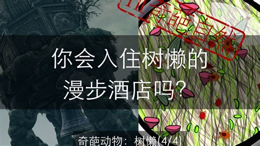 树懒(4/4) | 你会入住树懒的漫步酒店吗?