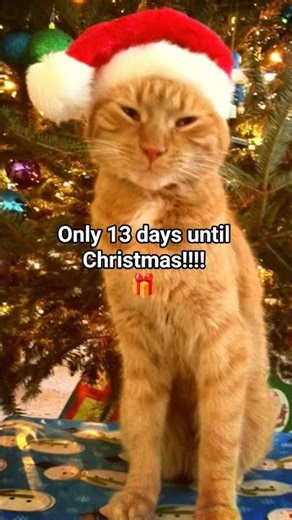 less than Jake is 🔥🔥🔥🔥