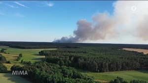 Woher kommen die vielen Waldbrände in Brandenburg?