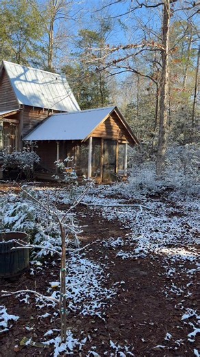 A little snow and a quick update about the peacock aviary! | Shepherding Outdoors