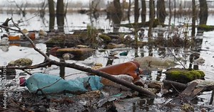 Plastic bottles and other rubbish by the lake, pollution of the environment