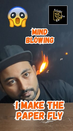 8.6K views · 49 reactions | I make the paper fly | Tricks To Go . . . . . . . . . #viralreelsfb #viralvideo #reels #viralreelsfacebook #reelsfb #flyreel #paperfly #teabag #tricks #experiments | Tricks To Go | Facebook