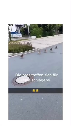 Lachflash (@lachflash.foryou)’s videos with Originalton - Lachflash