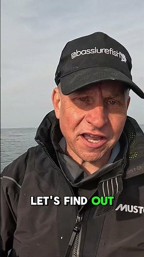 Do Bigger Lures Really Catch Bigger Sea Bass?